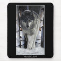 GREY PACK WOLF Collection mousepads