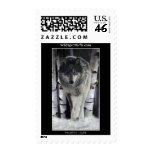 GREY PACK WOLF Collection Stamp