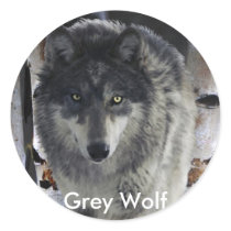 GREY PACK WOLF Collection Round Stickers