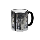 GREY PACK WOLF Wildlife Gift Mugs