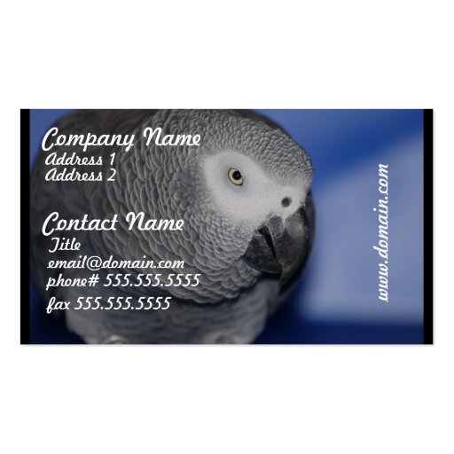 Grey Parrot Business Card Template
