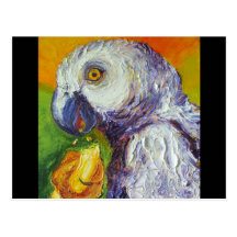 Grey Parrot & Mango Post Card
