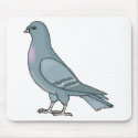 grey pigeon mousepads
