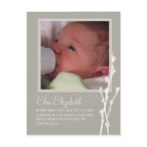 Grey & Pink Blossom Announcement 2 Postcards