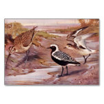 Grey Plovers and a Whimbrel Table Cards