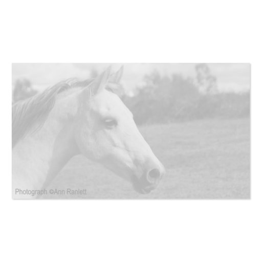 Grey Pony -  Photo Business Card (back side)