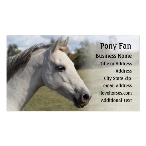 Grey Pony -  Photo Business Card (front side)