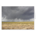 Grey Rain On Golden Field Card by StormShooter Grey Rain On Golden Field Card