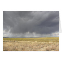 Grey Rain On Golden Field Card by StormShooter Grey Rain On Golden Field Card