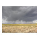Grey Rain On Golden Field posters by StormShooter Grey Rain On Golden Field posters
