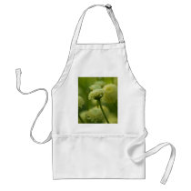 Grey Santolina | Graues Heiligenkraut aprons by HortusFloridus Grey Santolina | Graues Heiligenkraut aprons