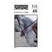 Grey Schooling Jumper postage