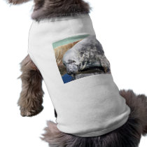 Grey Seal Close Up Portrait Pet Tee
