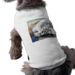 Grey Seal Close Up Portrait Pet Tee