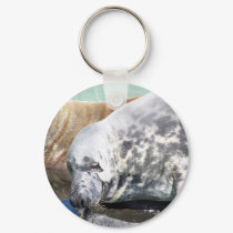 Grey Seal Close Up Portrait keychains by thekingchivas Grey Seal Close Up Portrait keychains