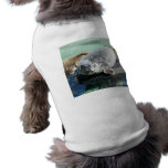 Grey Seal Looking Up Dog Tee