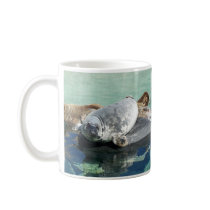 Grey Seal Looking Up Mugs