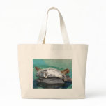 Grey Seal Pair On Rock Full Body bags