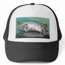 Grey Seal Pair On Rock Full Body hats