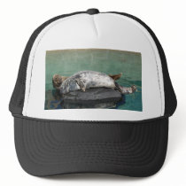 Grey Seal Pair On Rock Portrait hats