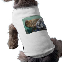 Grey Seal Pair Portrait Dog Clothing