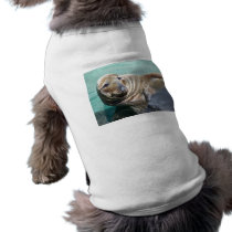 Grey Seal Portrait Pet T-shirt