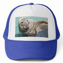 Grey Seal Portrait hats
