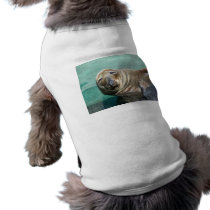 Grey Seal Straight On Portrait Pet Shirt