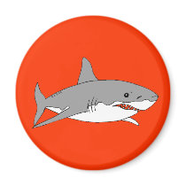 Grey shark magnets
