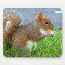 Grey Squirell Mousepad