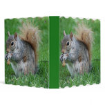 Grey Squirrel Binder