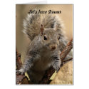 Grey Squirrel Card by gts1959 Grey Squirrel Card