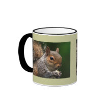 Grey Squirrel Coffee Mugs