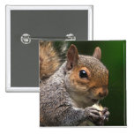 Grey Squirrel Pin