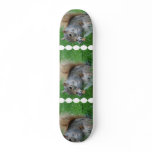 Grey Squirrel Skateboard