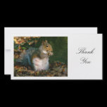 Grey Squirrel - Thank You photo cards