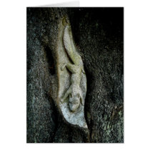Grey Squirrel Tree Carving cards