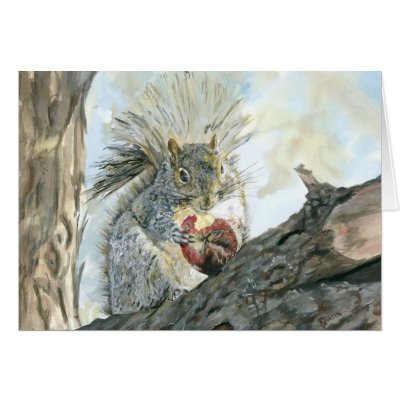 Grey Squirrel with apple Card by Critterpainter