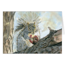 Grey Squirrel with apple cards