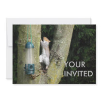 Grey Squirrel Your Invited Invitation