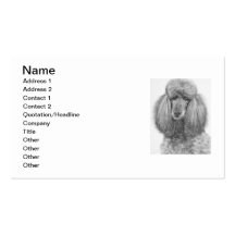 Grey Standard Poodle.jpg Business Card Templates