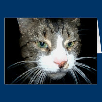 Grey Tabby card