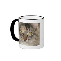 Grey Tabby Cat Mug by Quequay Grey Tabby Cat Mug