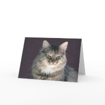 Grey Tabby Cat Note Card