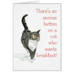 Grey Tabby Cat Note Card