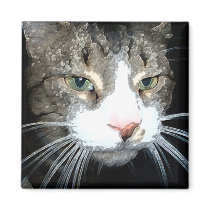 Grey Tabby magnet by armaiti Grey Tabby magnet