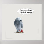 Grey thinks green.jpg print