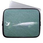 samsung laptop 101 | grey whale, whale, dolphin, river, stream, grey whale, whale, dolphin, river, stream,