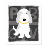 Grey & White PBGV Poster