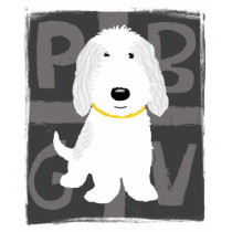 Grey & White PBGV t-shirts by jennsdoodleworld Grey & White PBGV t-shirts